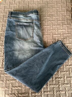 Terra & Sky Women's Skinny Jeans in Washed Blue